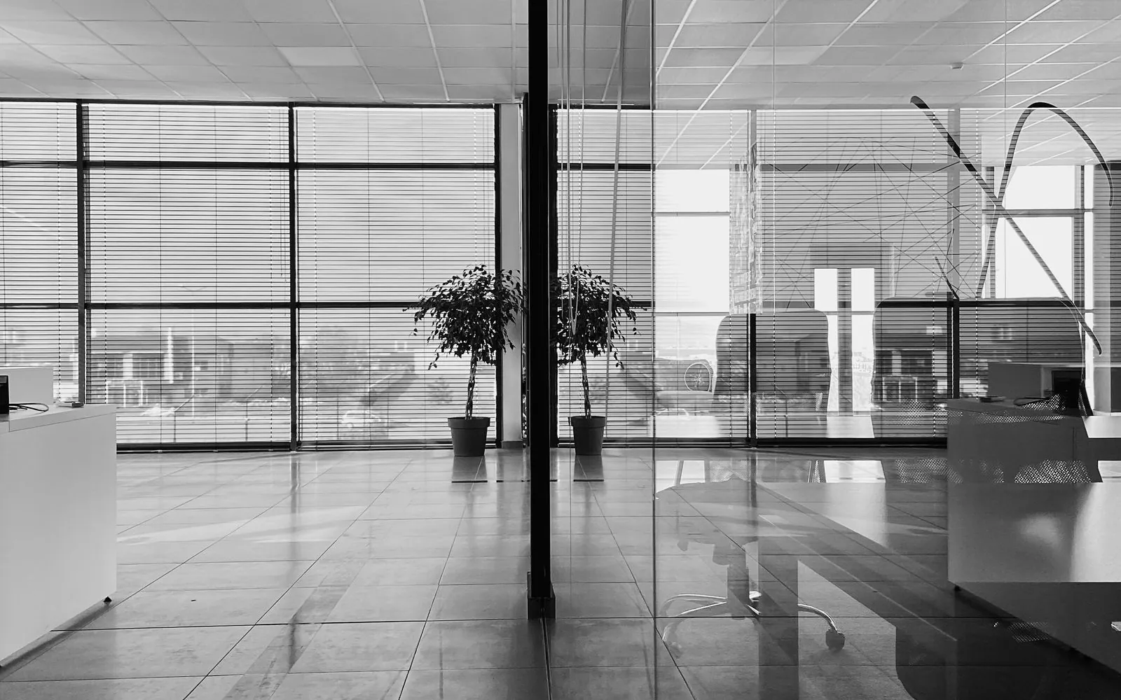 An open-plan office behind a glass partition, two plants by the window, nobody at the desks